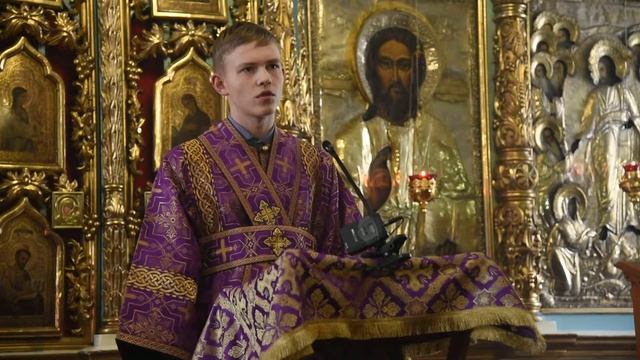 Проповедь Льва Лапина о святителе Николае Сербском смотреть онлайн