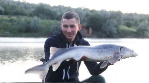 ПОЙМАЛИ ОГРОМНУЮ БЕЛУГУ - РЫБУ МЕЧТЫ! Рыбалка "Дубовый хуторок.