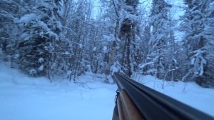 Первый раз на охоте. Охота на лося // Пермский край