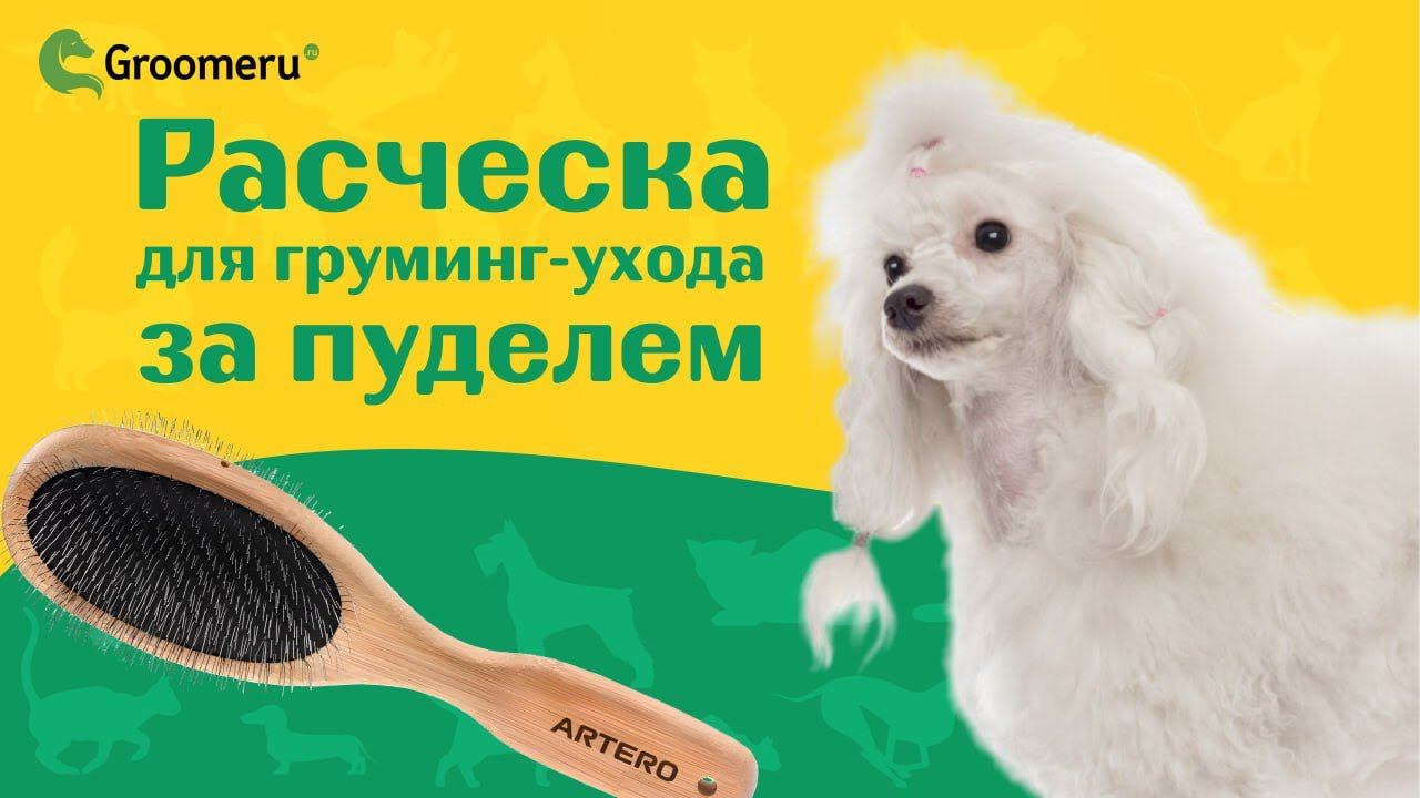 Расческа для груминг-ухода за пуделем: Наталья Кулешова рекомендует Артеро