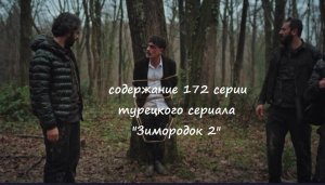 Содержание 172 серии (18 турецкая) второго сезона сериала "Зимородок" (РФ, 2023 / 2024)