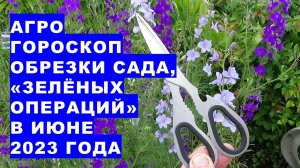 Агрогороскоп обрезки сада и "зелёных операций" на растениях огорода в июне 2023 года