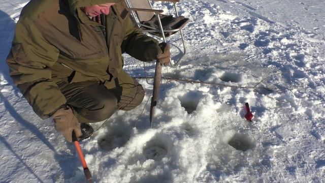 Почему плохой клёв на Жилом озере деревня, рыбалка на удочку смотреть онлайн