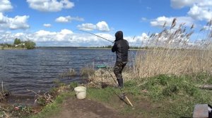 Крупный карась на сало!!! Рыбалка на р. Проня.