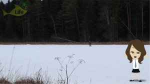 Как на что и где ловить леща в январе? Секреты ловли леща в январе!