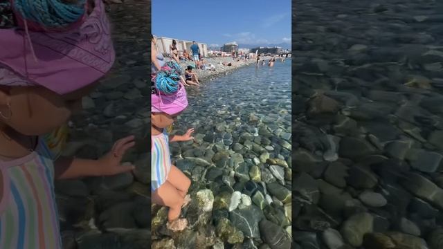 Едем на РОЗА ХУТОР #сочи #лисаалиса #лето