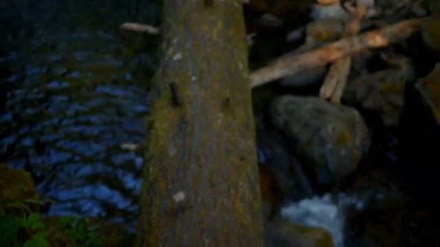 О чем канал/проблемы/смысл/что делать дальше смотреть онлайн