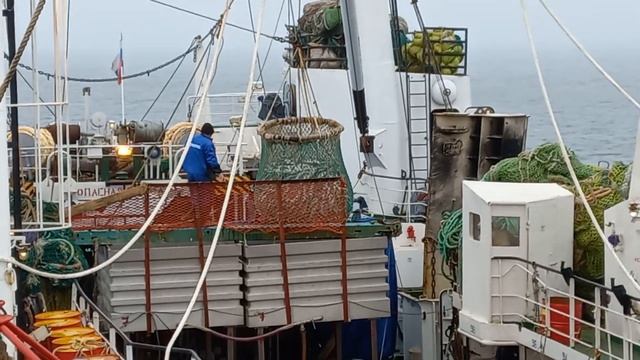 КРАСНАЯ РЫБА смотреть онлайн