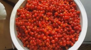 Калина  Как  хранить в сыром виде зимой