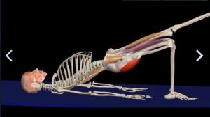 Плечевой(ягодичный) мост на одной ноге