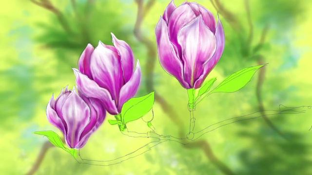 How to draw a magnolia in procreate\ Как нарисовать магнолию в Procreate смотреть онлайн