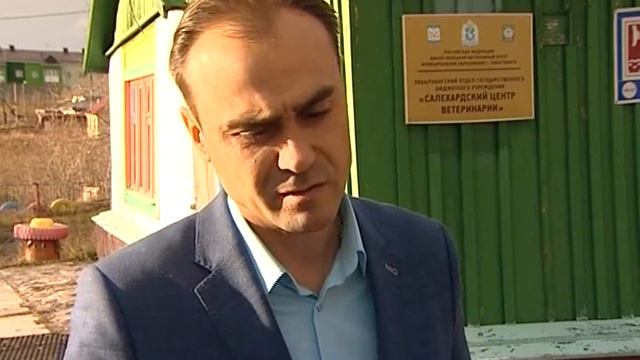 Усы, лапы и хвост – не самые надежные документы смотреть онлайн