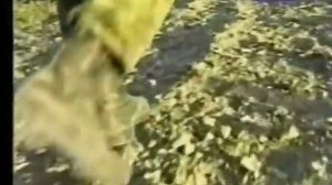 15 февраль Россия отмечает день памяти воинов интернационалистов