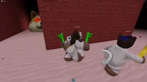 Спасение Котят От Злых Собак в ROBLOX!!! | Doge Head Escape !