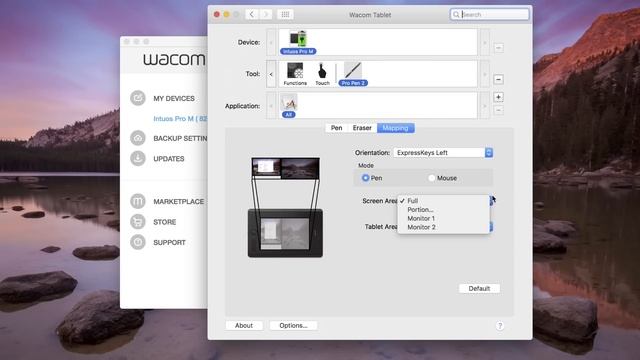Mapping Your Monitor(s) and Orientation for Wacom Intuos Pro смотреть онлайн