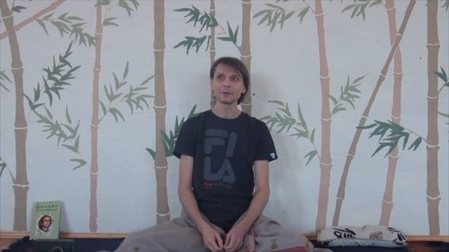 Семинар Сумирана в Дзен Отеле. 2019-05-02 (часть 1) смотреть онлайн