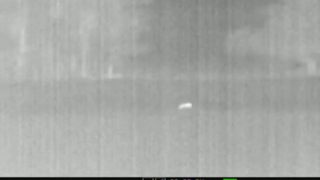 Quantum Pulsar HD38 Thermal Vision Fallow Deer смотреть онлайн