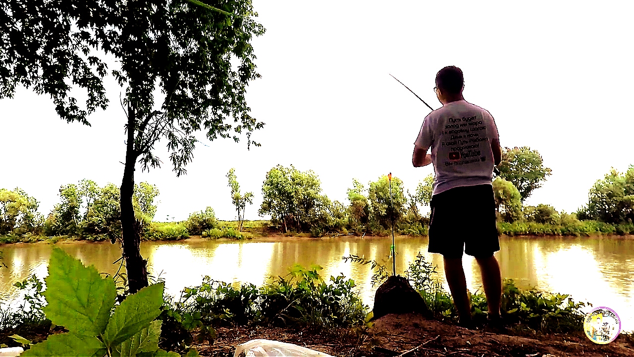 Володя рыбалка рыбалка. Река алей рыбалка.