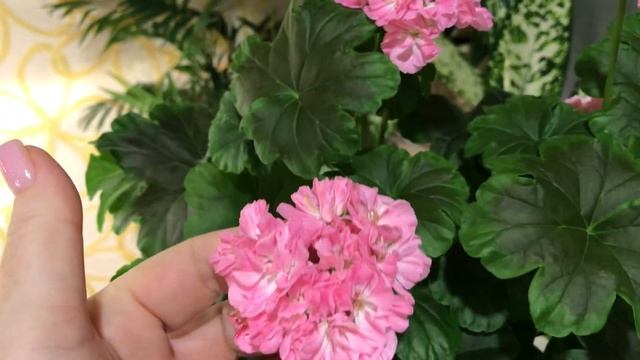 Odensjö Made in Sweden и Black Mamba смотреть онлайн