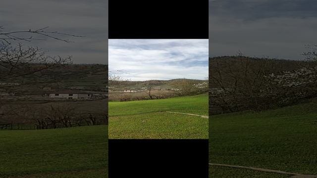 КРАСОТА ПРИРОДЫ
