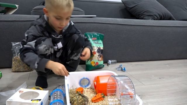 Реакция ПАПЫ на ХОМЯКОВ?...Пополнение в нашей семье!!! смотреть онлайн