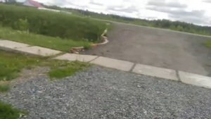 Обзор на скутер Suzuki sepia.