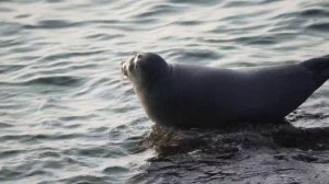 Природные объекты Иркутской области. Байкал