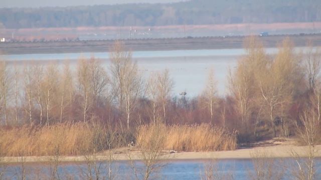 Camera zoom x50 test on sunny day Canon PowerShot SX50 HS смотреть онлайн