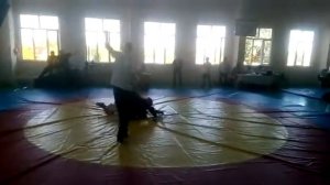 боевое самбо 14лет