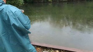 РЕКА ЧИКАГО / РЫБАЛКА НА БОЛЬШОЙ КАРП »»» GIANT CARP FISHING , CHICAGO RIVER.