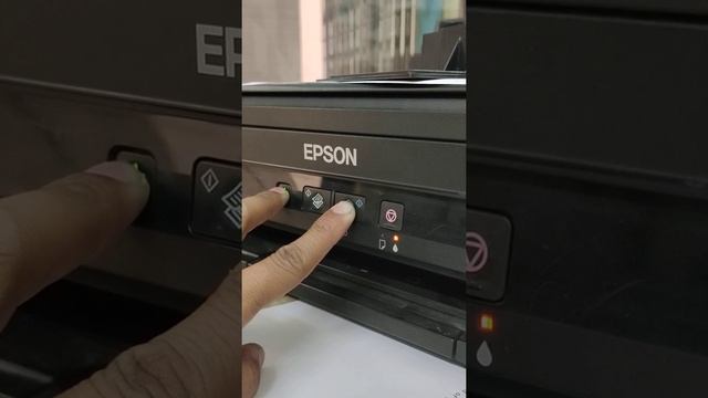 Epson ink reset error