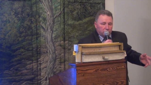 Какой пыльцесборник лучше для сбора пыльцы. Мой опыт сбора цветочной пыльцы смотреть онлайн