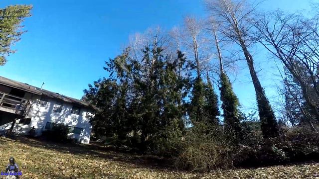 Deity V Mic Wind Test - 2020 Harley Davidson Iron 1200 смотреть онлайн