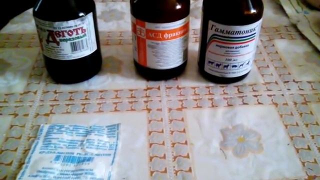 Инкубация индюшиных яиц. График инкубации.