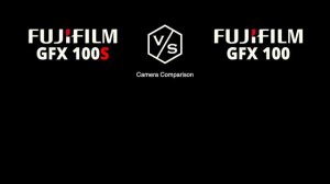 FujiFilm GFX 100S vs FujiFilm GFX 100