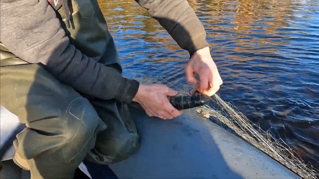 о Ладога, ловим Палию смотреть онлайн