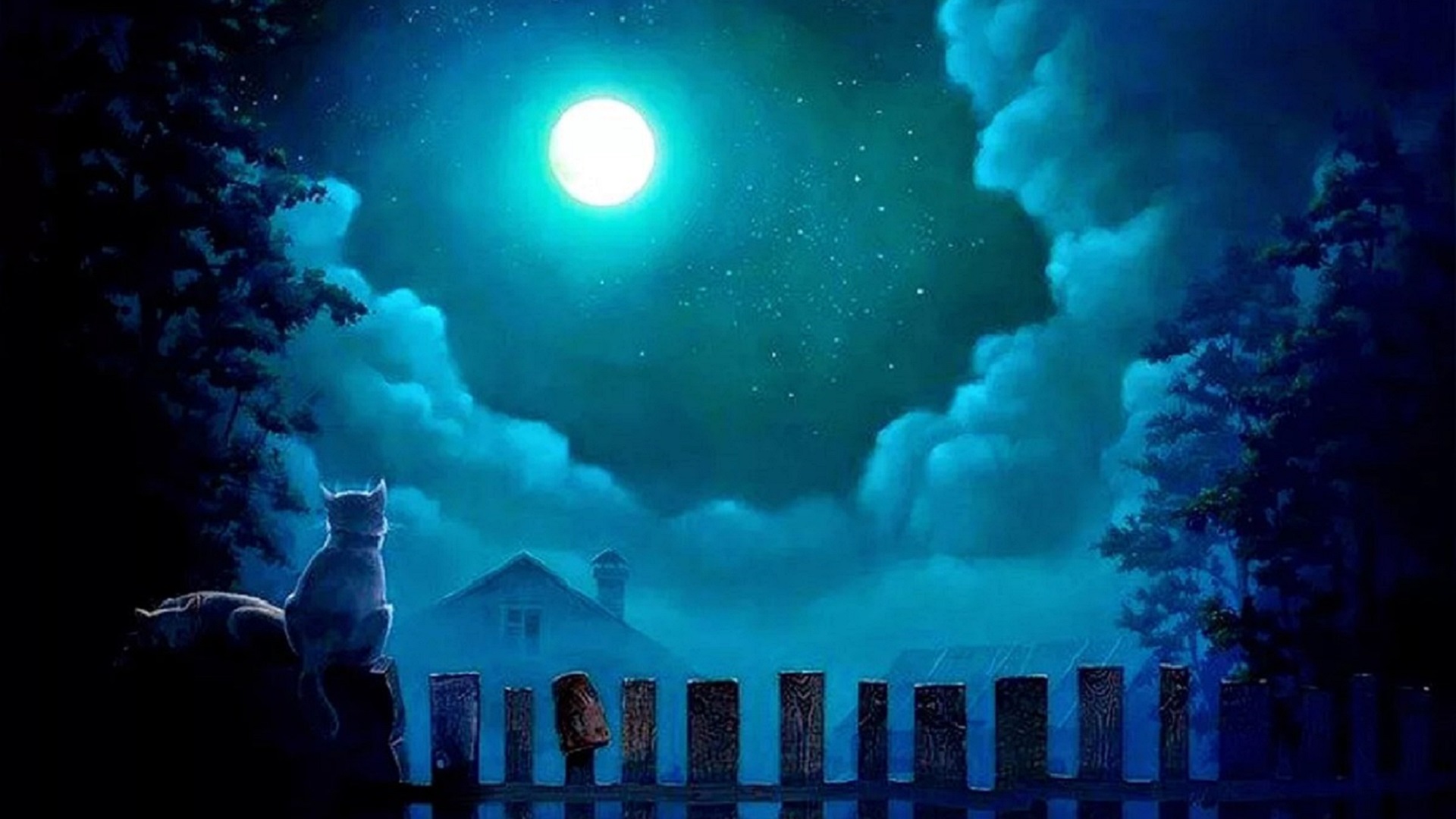 Свет спокойной. Сказочная ночь. Лунная ночь. Сказочное ночное небо. Летняя ночь.