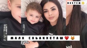 Малх Схьакхеташ Под Машину