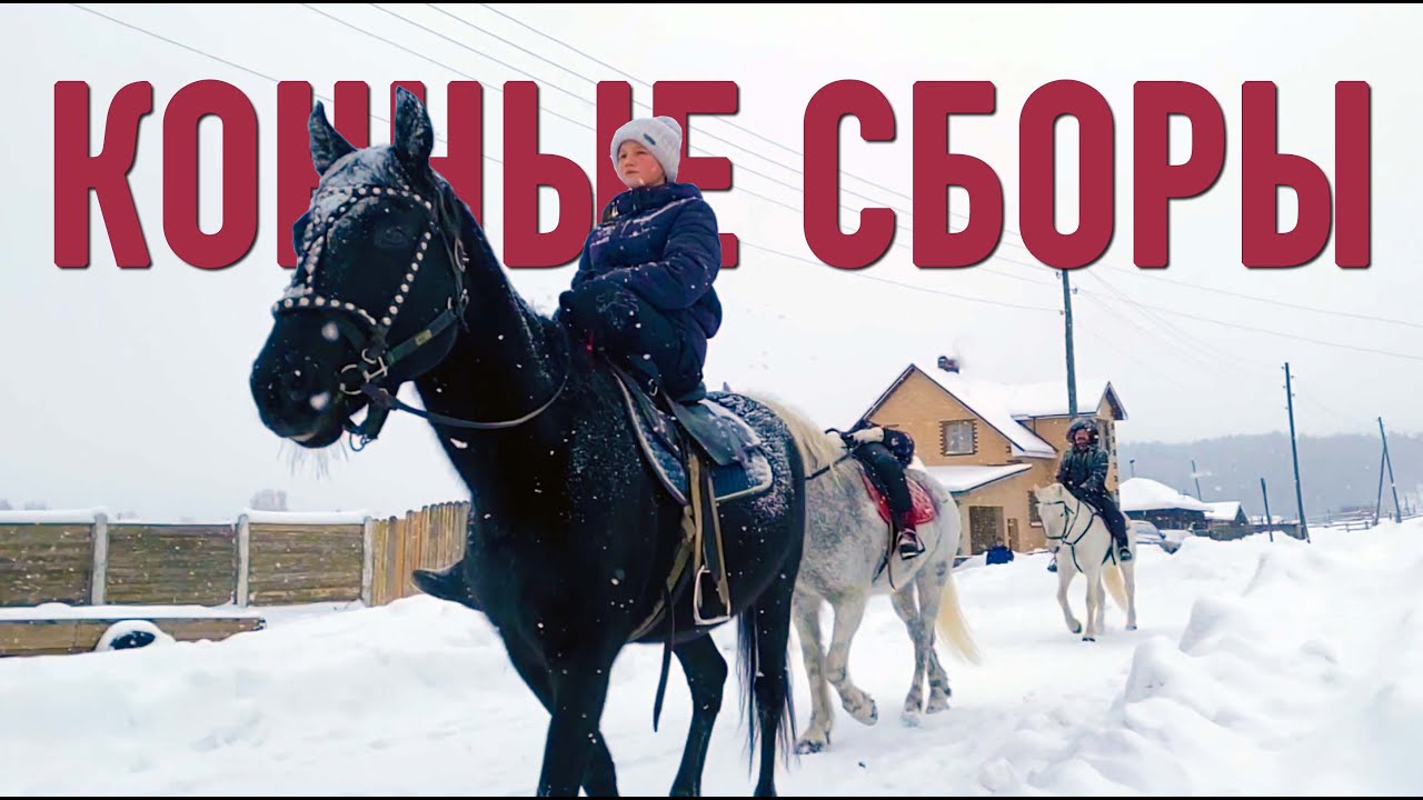 зимняя застава