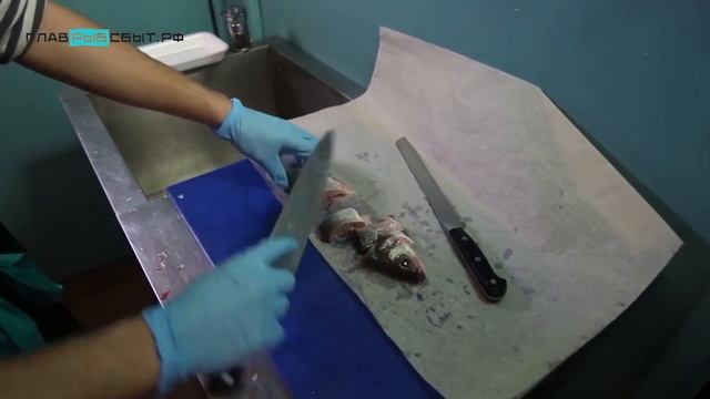 Охлажденная рыба: нарезка смотреть онлайн