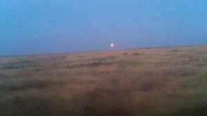 Розовая луна