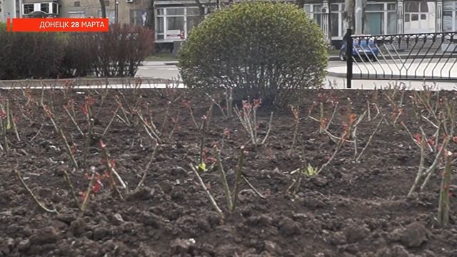 Донецк 28 марта 2020 года смотреть онлайн