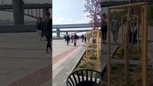 Новосибирск речной вокзал