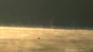 УТРО футаж для видеомонтажа