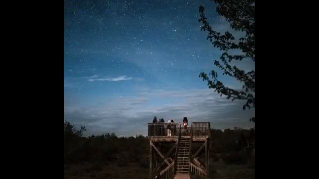 Зодиакальная совместимость Овна / Овен в любви / Овен в Браке / Астрология