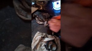 Ваз 2105 разборка редуктора дифиринцеала