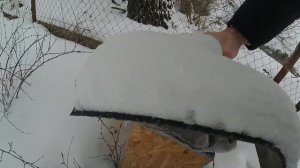 ЗИМОВКА ПЧЕЛ В РОЕВОМ ЯЩИКЕ, НАЛИЧИЕ КОРМОВ И СОСТОЯНИЕ