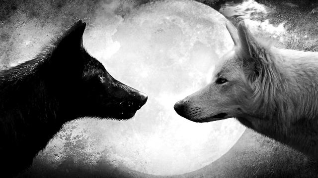 Притча о двух волках смотреть онлайн