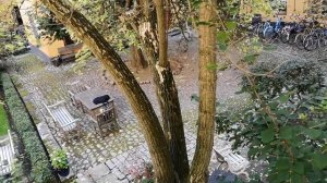 Старый город Стокгольма - путешествие в историю