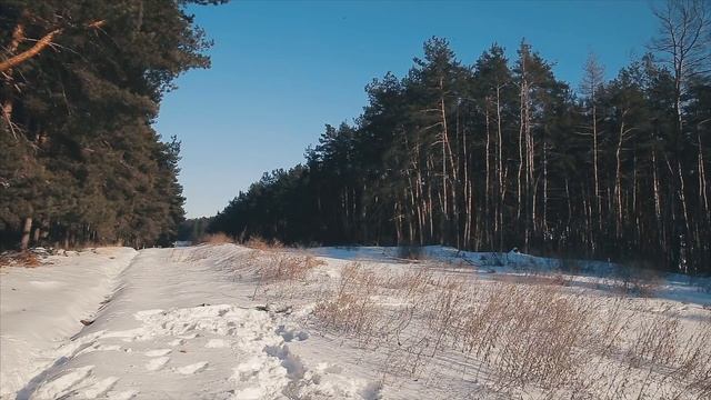 Firecrackers power test смотреть онлайн